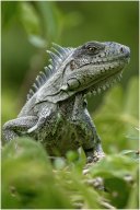 _dsc2917 1920